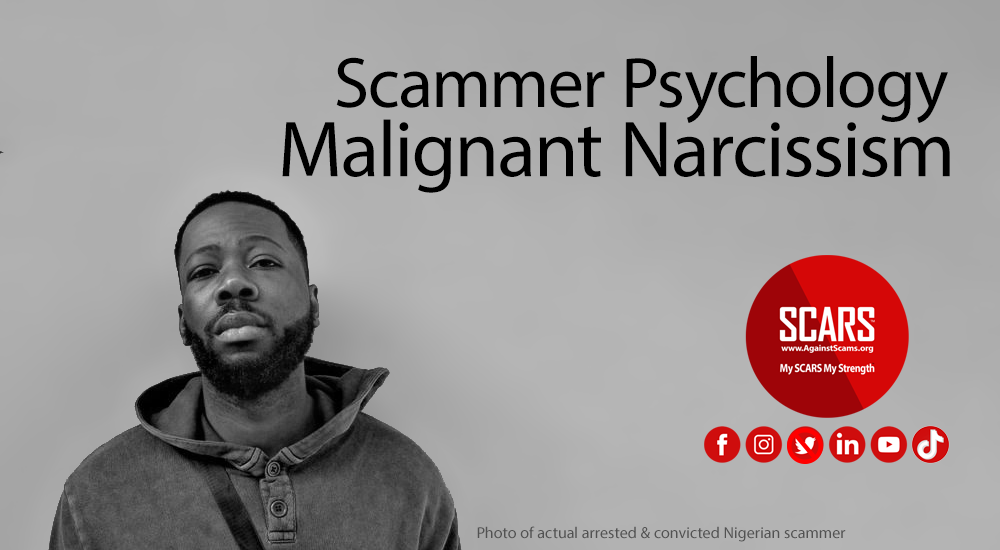 Understanding The Narcissist Scammer 2