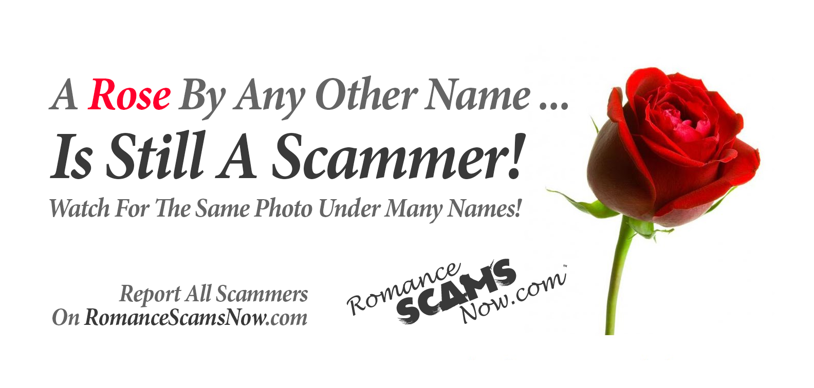 SCARS ™ / RSN™ Anti-Scam Poster 125