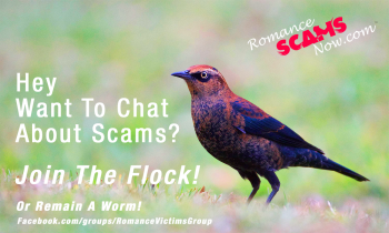 chat-about-scams 1