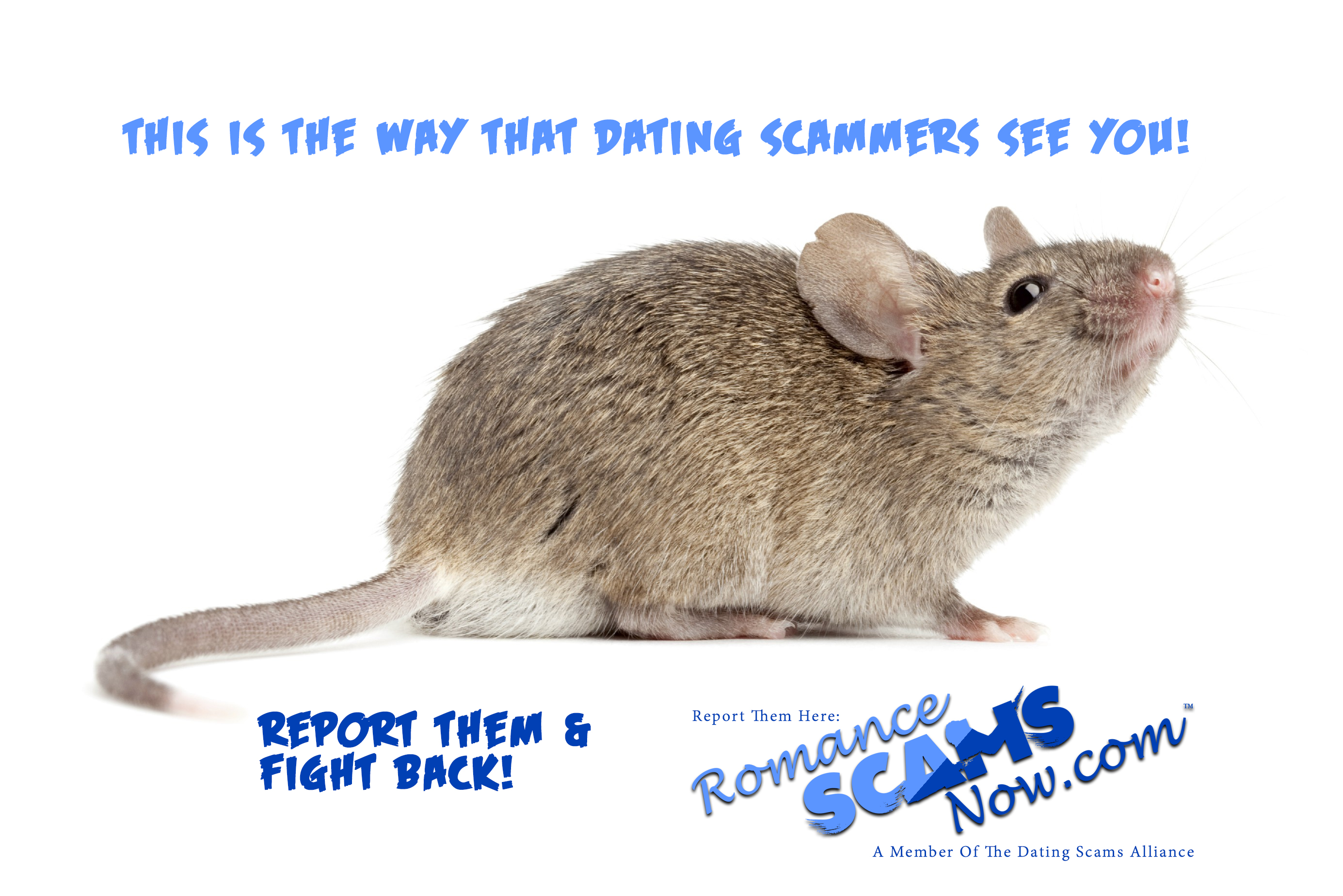 SCARS ™ / RSN™ Anti-Scam Poster 113
