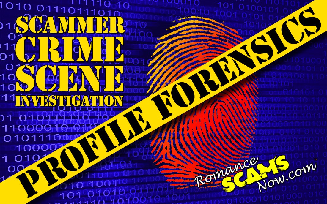 Scammer Profile Forensics