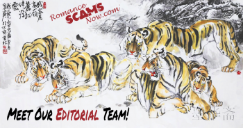 tiger-team 1