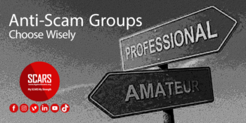 Amateurs vs. Professional Anti-Scam Groups