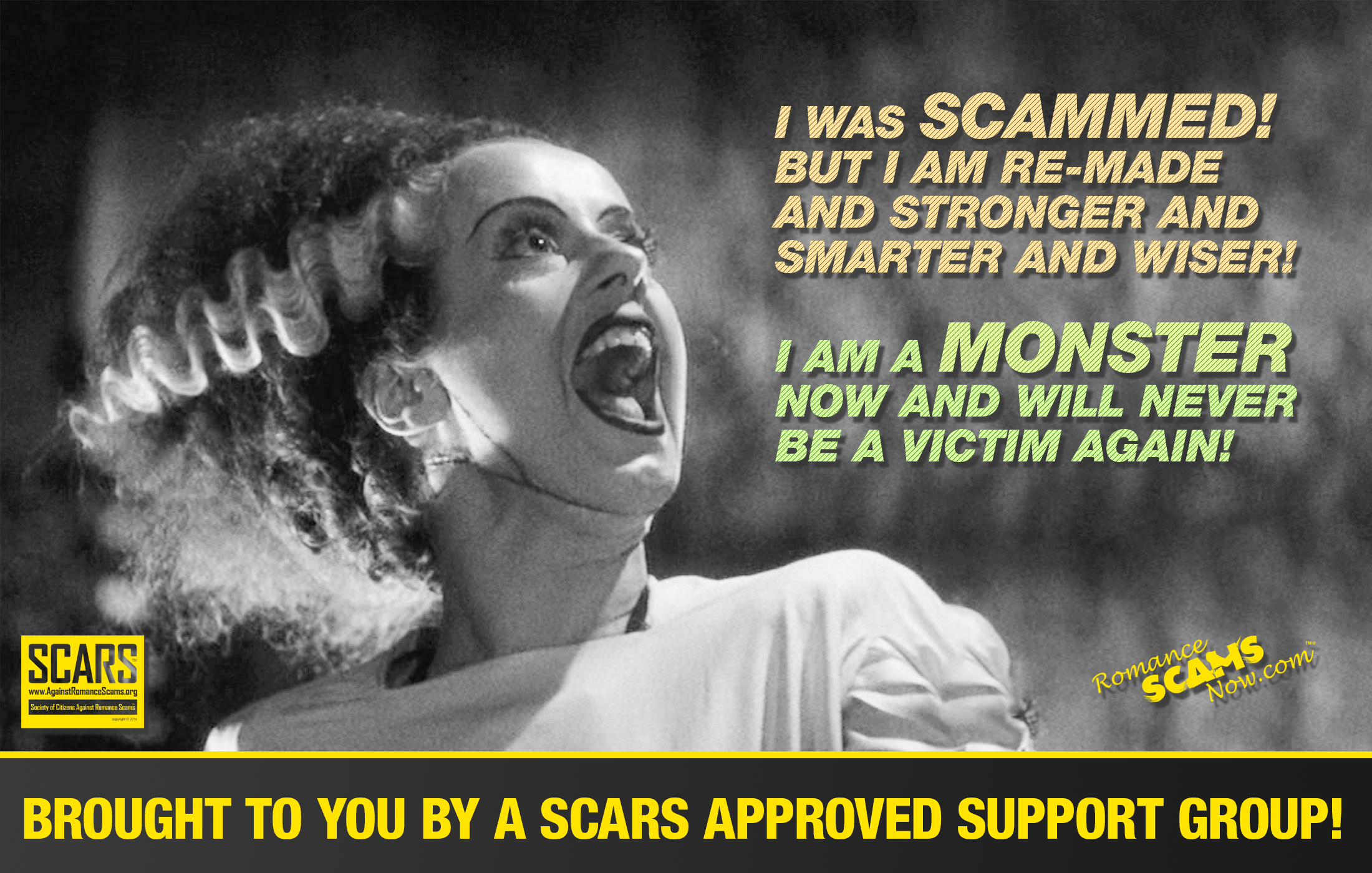 SCARS ™ / RSN™ Anti-Scam Poster 84