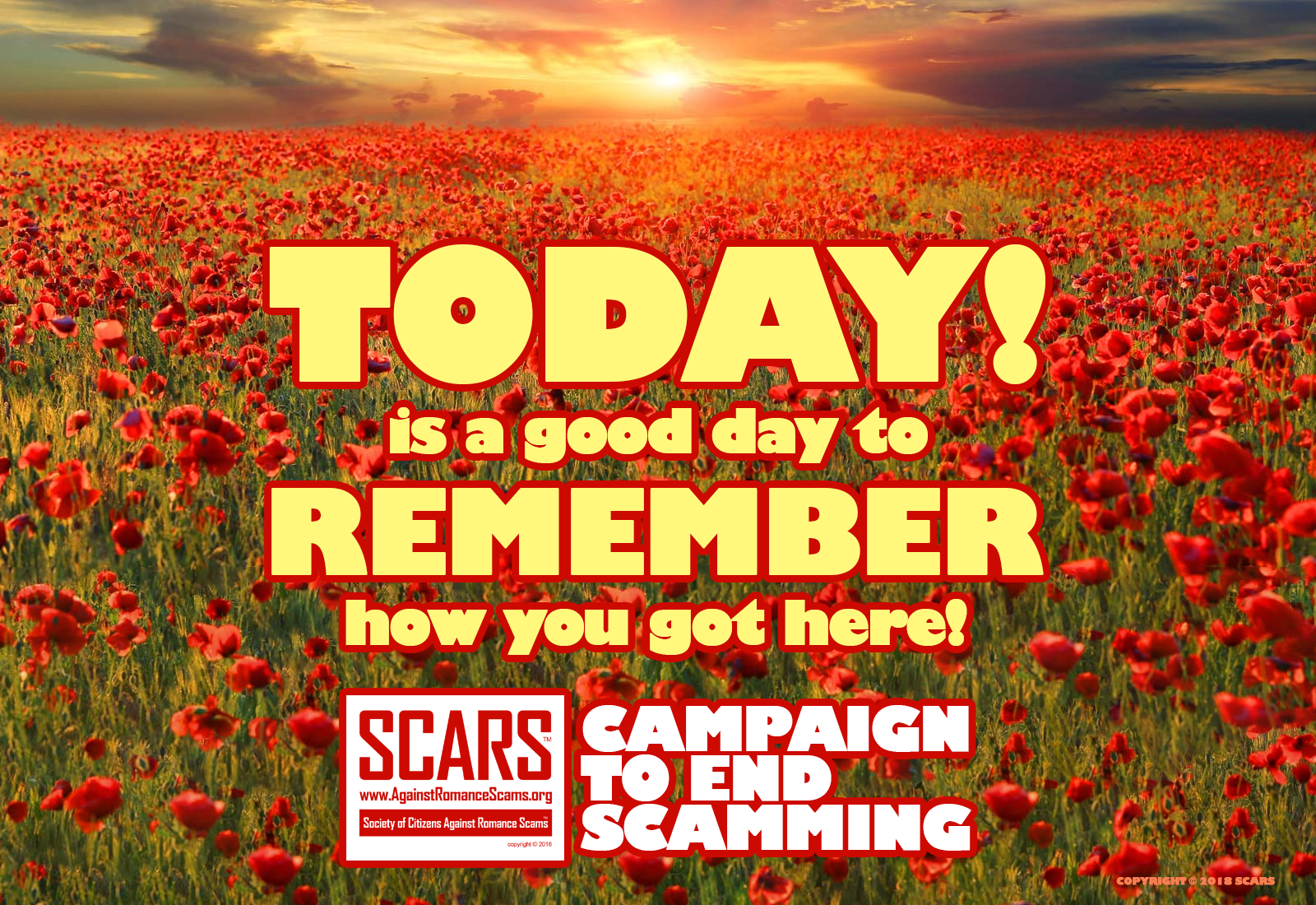 SCARS ™ / RSN™ Anti-Scam Poster 99