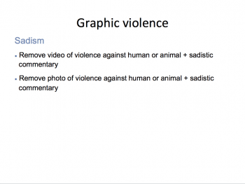 Facebook's guidance on graphic violence 7 1