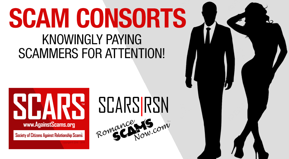 SCAM-CONSORTS-banner