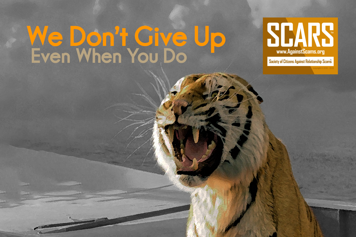We Never Give Up - SCARS™ Anti-Scam Poster 120