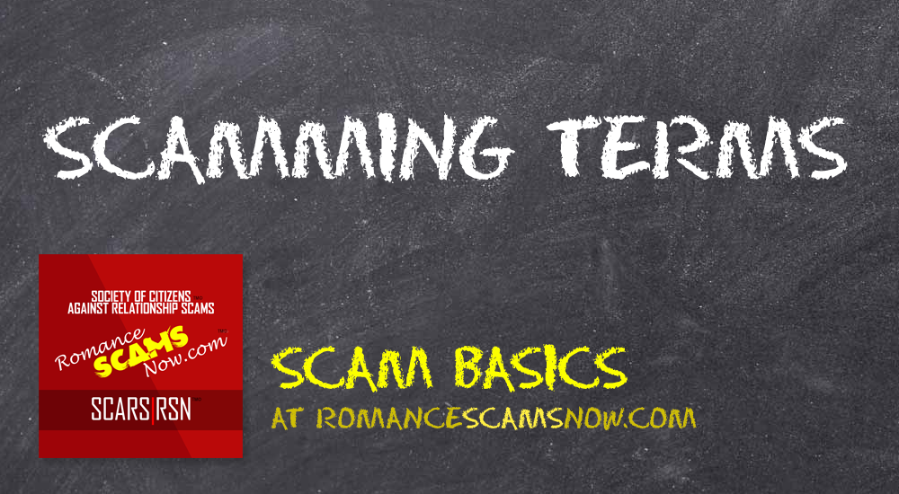 SCARS™ Scam Basics: A Taxonomy 1