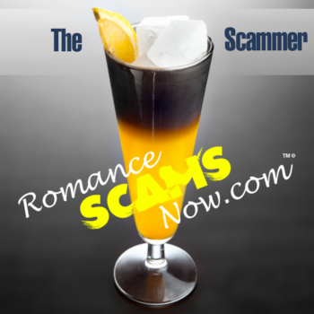 the-scammer 1
