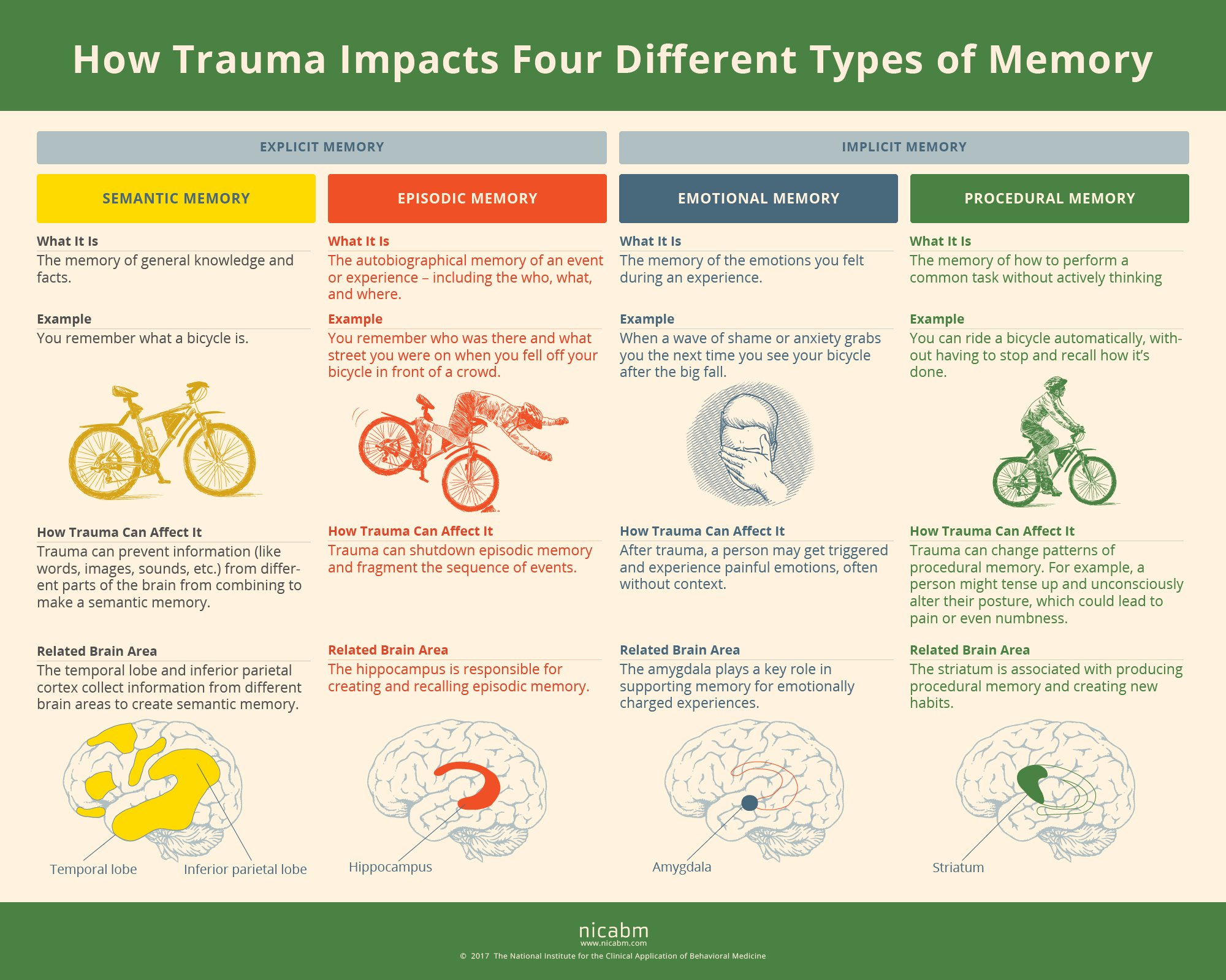 How Trauma Impacts the Brain and the 4 Types of Memory