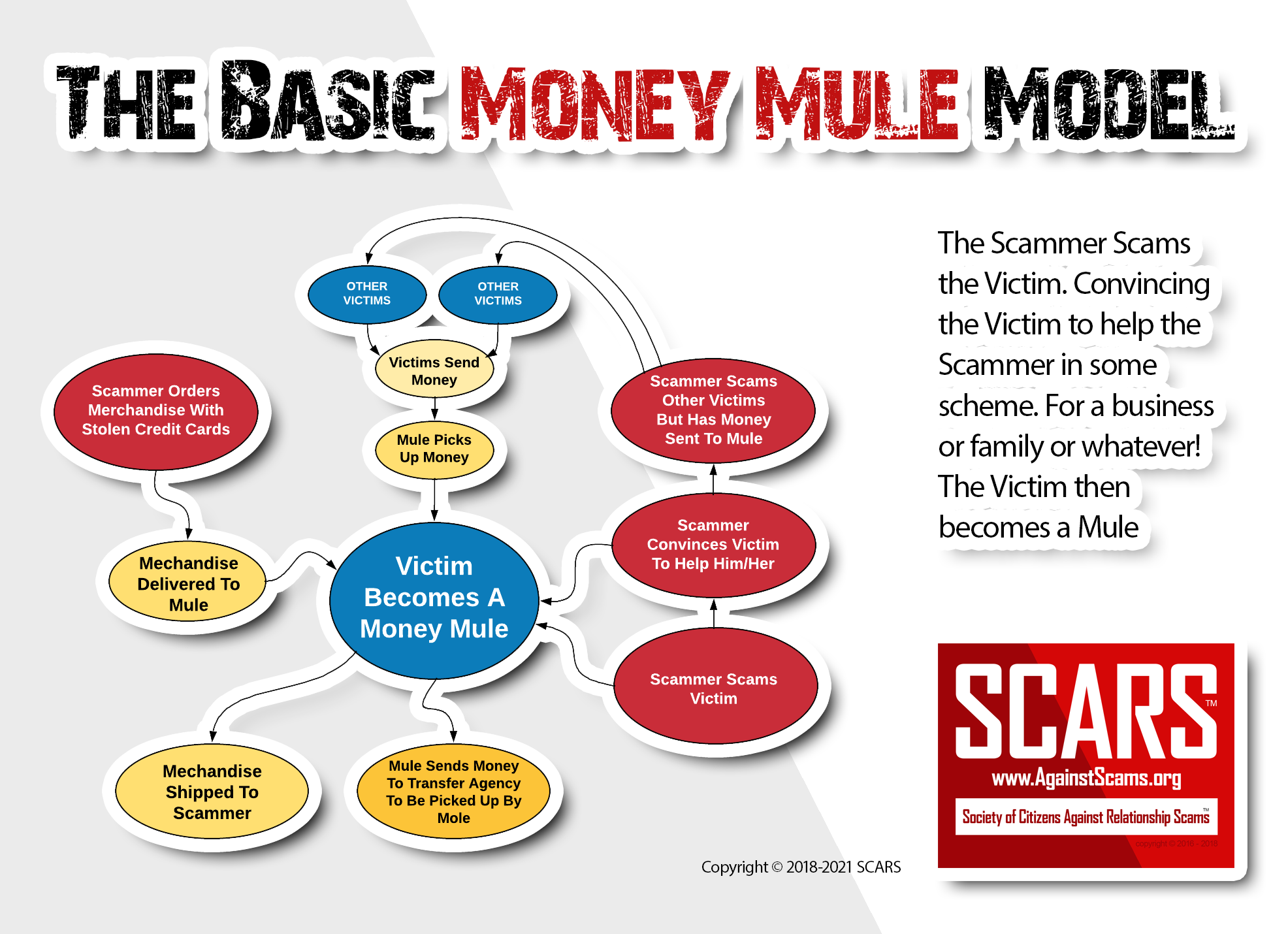 The Basic Money Mules Model - a SCARS Infographic