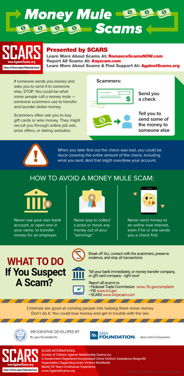 Money Mule Series: What Are Scammer Money Mules?