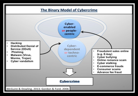Fig. 1. The binary model of cybercrime.