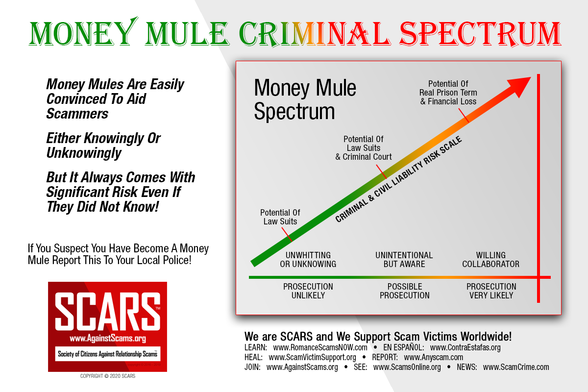 MONEY-MULE-SPECTRUM