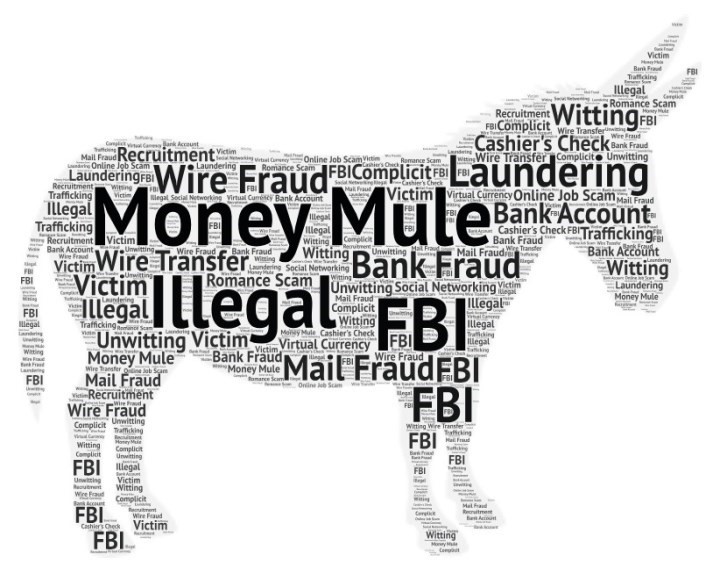 Money Mules