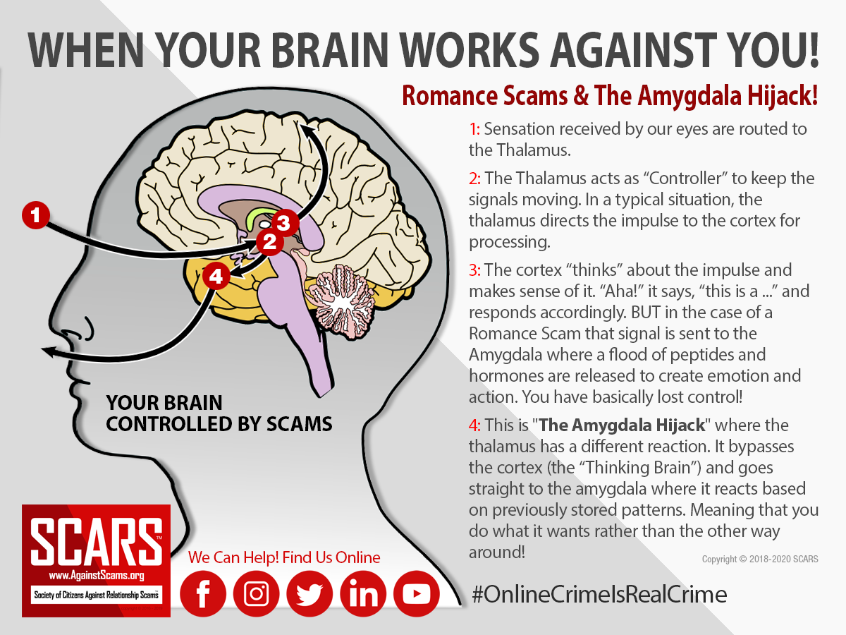 Paradoxical Persuasion - A Scammer Psychological Manipulation Technique 2023 Amygdala Hijack 2021 Amygdala-Hijack and Romance Scams
