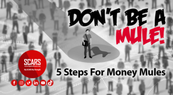 5-steps-fro-money-mules