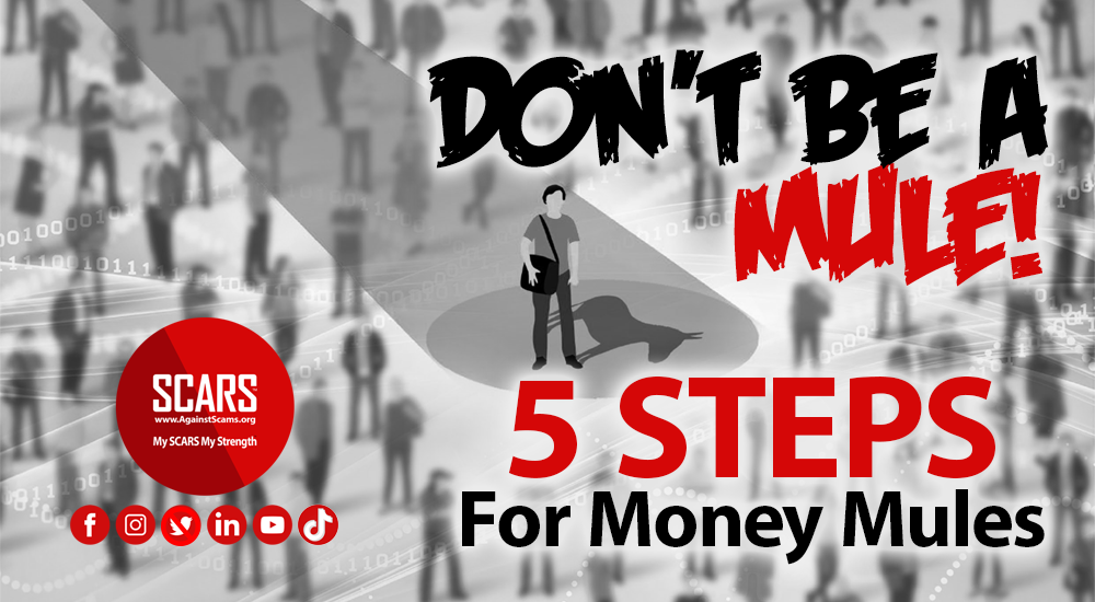 5-steps-fro-money-mules-a