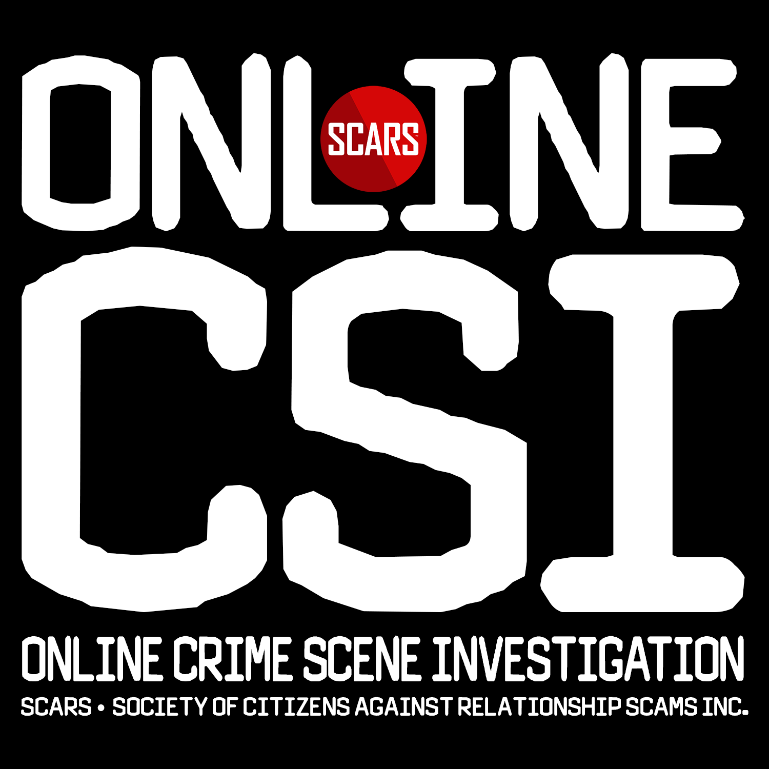 Online Crtime Scene Investigation™ 13