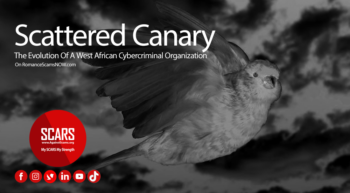 Scattered-Canary