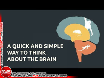 A Quick and Simple Way to Think About the Brain [VIDEO]