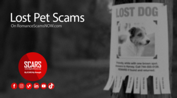 lost-pet-scams 1