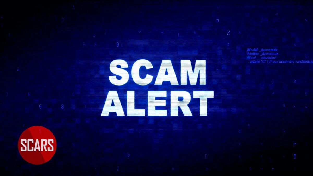 There Are Thousands of Amateur Anti-scam Groups [Video] 8