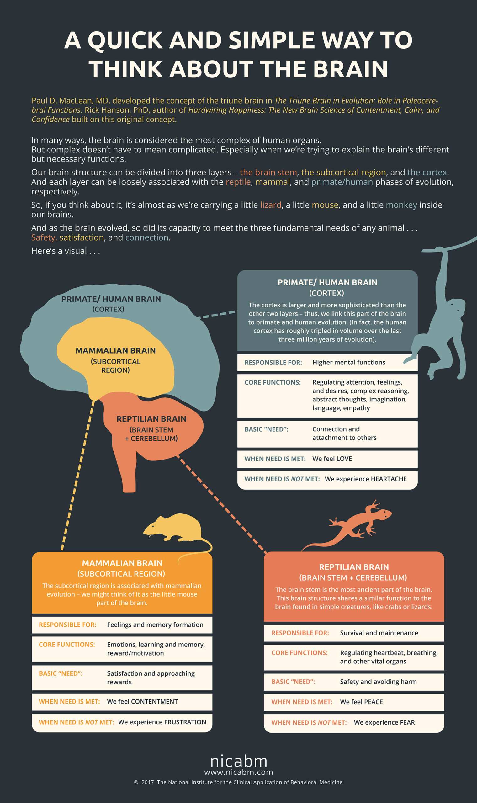 A Quick and Simple Way to Think about the Brain [Infographic]