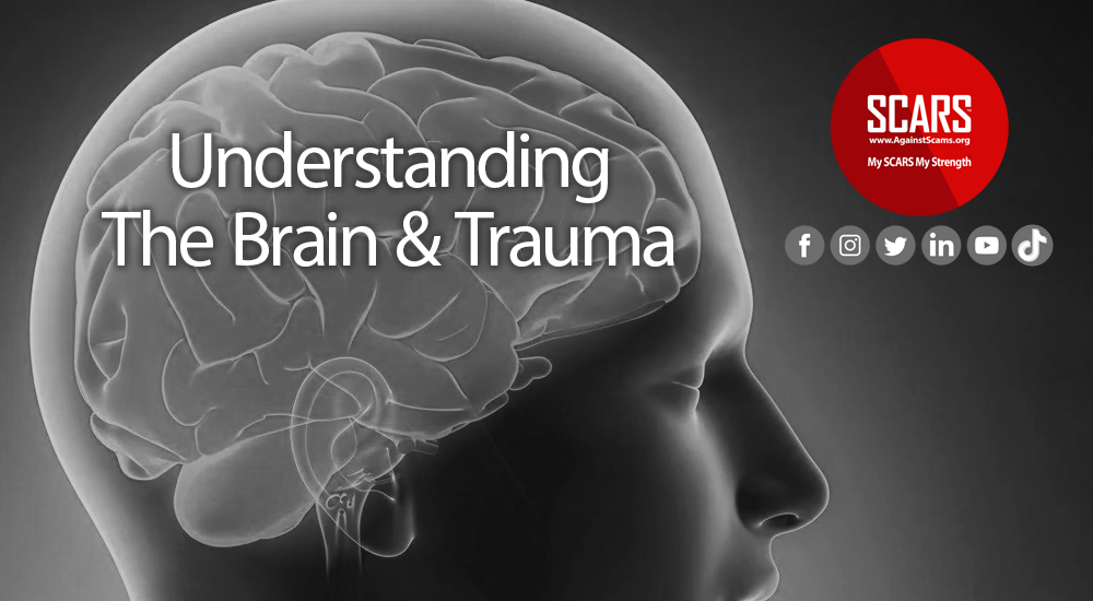 Understanding the Brain & Trauma 0 Trauma Responses & Victim Psychology - a SCARS Series on RomanceScamsNOW.com