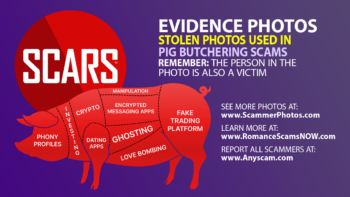 Pig Butchering Stolen Photos Album