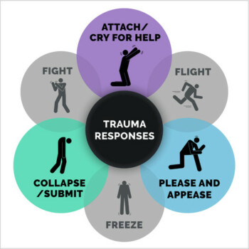 The New Trauma Responses Model - Source NICABM