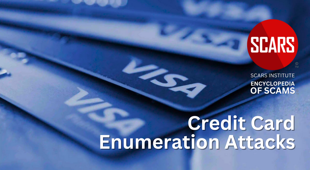 Credit Card Enumeration Attacks - Stealing From Your Accounts - 2024 - on SCARS Institute Encyclopedia of Scams