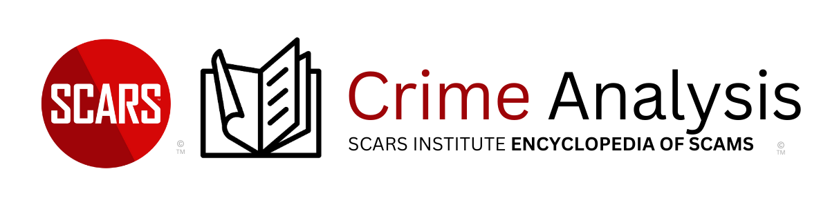 Crime Analysis banner The Permission Structure that Accommodates Scams and Online Criminality in Africa - 2025