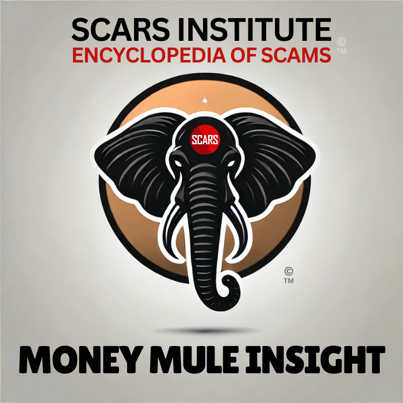 SCARS Institute Money Mule Insight